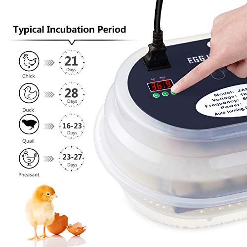 HBlife Digital Egg Incubator for Hatching 9-12 Chicken, Quail and Duck Eggs, with Fully Automatic Egg Turning and Temperature Display