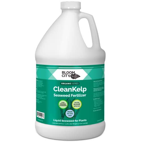 Bloom City Seaweed and Kelp Liquid Fertilizer for Plants, 32 oz | Encourages Strong Root Growth, Helps Ease Transplant Shock, Foliar Spray or Soil Drench, Indoor & Outdoor Garden Use