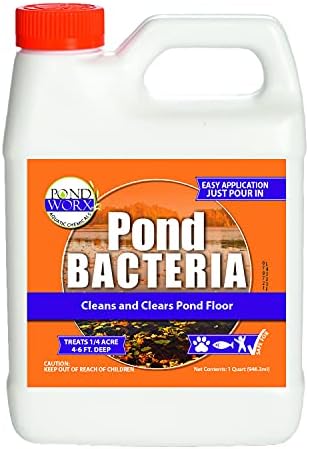 PondWorx Pond Bacteria - Formulated for Large Ponds, Water Features and Safe for Koi - Gallon