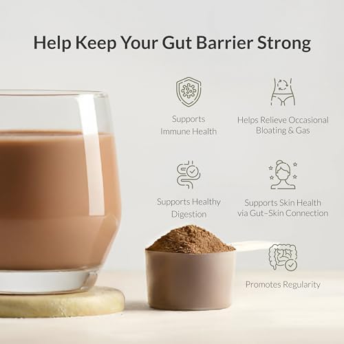 Microbiome Breakthrough Gut Support Powder Chocolate Flavor With Lactobacillus Strains