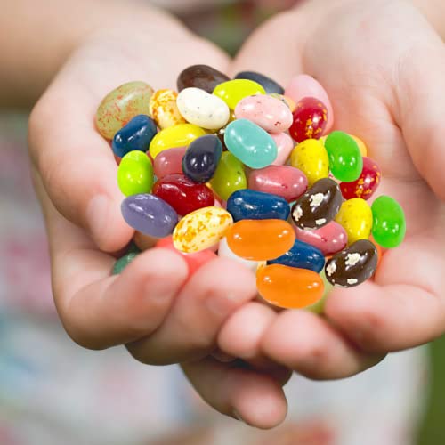 49 Assorted Jelly Bean Flavors Resealable Pouch, Gluten and Fat Free Shareable Bag of Fruity Chewy Candy, 1.31 LB