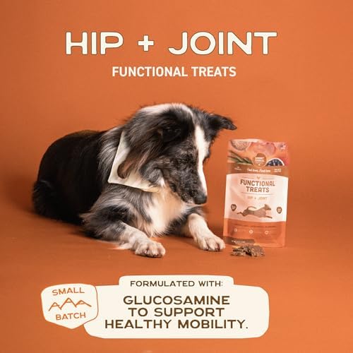 Smart Cookie All Natural Dog Treats - Healthy Hip and Joint Chicken Dog Biscuits with Glucosamine - Ideal for Senior Dogs and Sensitive Stomachs - Dehydrated, Crunchy, Human-Grade, Made in USA - 8oz