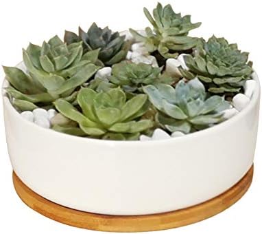 LANKER 6.3 Inch Round White Ceramic Succulent Planter Pot with Bamboo Tray