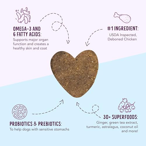 Health Extension Heart-Shaped Crunchy Biscuits, 12oz (340g) – Chicken Flavor, GMO-Free Dog Training Treats for Small Breeds