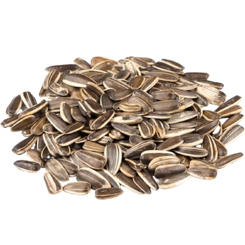 Lightly Sea Salted Sunflower Seed in Shell by Gerbs - 2 LBS - Top 11 Food Allergen Free & Non GMO - Premium Dry Roasted Seeds – COG USA | Small Batch, No Artificial Additives, Resealable Bag | Crack-and-Eat Crunchy Snack | Top 14 Allergen-Free