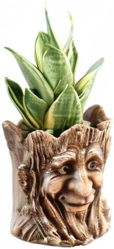 Funny Planter Head Face Plant Pot with Drainage Hole Resin Succulent Plant Holder Pencil Holder Desk Organizer Office Garden Gift (Smile Face)