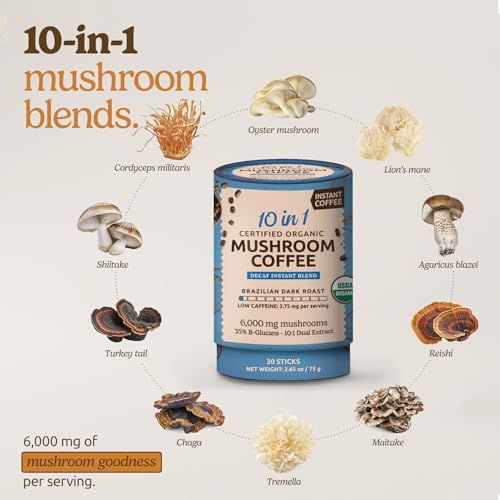 ShroomDNA Mushroom Coffee Blend with Chaga & Lion's Mane | Instant Focus + Clarity All Day | Organic + Vegan + Gluten Free | No Added Sugar | 20 Count