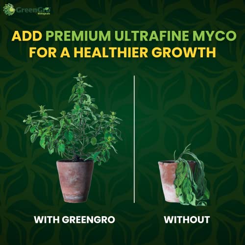 GreenGro Myco Mycorrhizal Inoculant, 8 oz, from Superior Strains | Ultrafine, Water Soluble Root Enhancer, Improves Nutrient Uptake, Eases Transplant, Indoor & Outdoor Plant Fertilizer