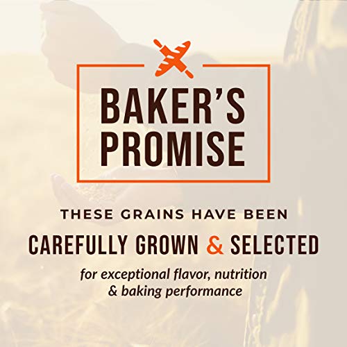 100% Organic Hard Red Spring Wheat Berries- 25 lbs