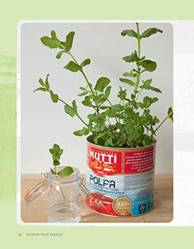 Regrow Your Veggies: Growing Vegetables from Roots, Cuttings, and Scraps (CompanionHouse Books) Sustainable Tips, Troubleshooting
