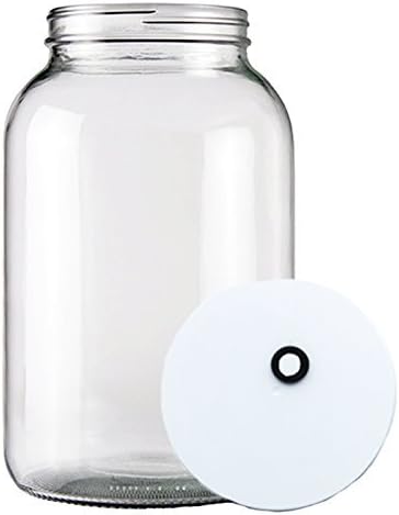 One Gallon Wide Mouth Glass Jar With Grommeted Lid by Home Brew Ohio