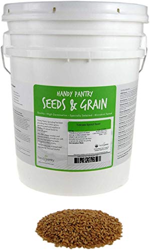Handy Pantry Organic Triticale Seeds- 30 Lbs- Triticale Grain Seed | Sprouting Sprouts, Cooking, Grind Flour, Food Storage & More