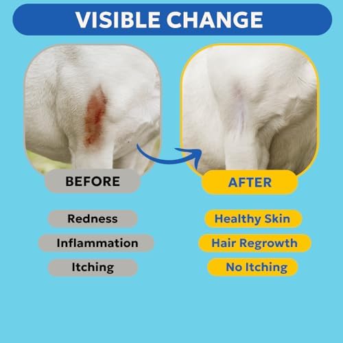 Blue Butter – Hot Spot Treatment for Dogs Cats | Dog Cat Wound Care | Skin Yeast Infections, Ringworm, Cuts, Rashes, First Aid Veterinary Strength Anti Itch Cream 4oz