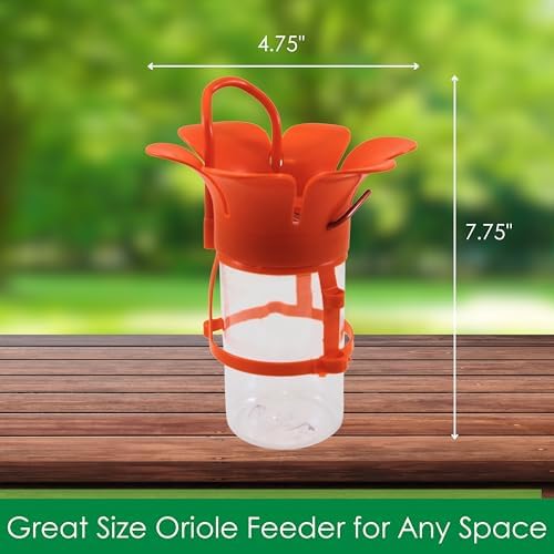 Glass Jelly and Jam Bird Feeder, Hanging Oriole Treat Dish | Jelly and Jam Feeder; Glass Dish; Hanging Design; Attracts Orioles