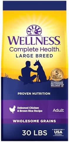 Wellness Complete Health Large Breed Puppy Dry Dog Food, Wholesome Grain Kibble, Natural, Chicken, Brown Rice and Salmon Meal Recipe, 30 lb Bag