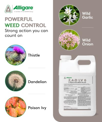 ALLIGARE 2,4-D Amine Weed Killer Concentrate - Post-Emergent Herbicide to Control Pigweed, Thistle, Ragweed, & More - 47.2% Active Ingredient - for Lawns, Pastures, Aquatic Sites & Crops - 2.5 Gallon