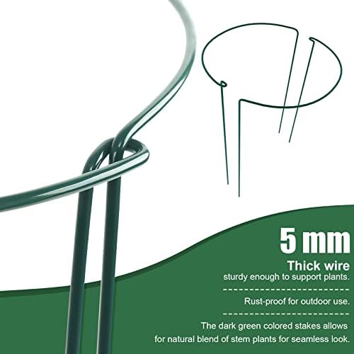 FEED GARDEN Peony Cages and Supports, 6 Pack Plant Support Stakes for Outdoor & Indoor Plants