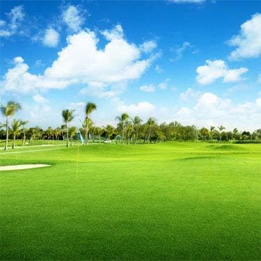 Outsidepride Oasis Bermuda Grass Seed - 5 lbs Warm Season, High Traffic, Heat Resistant, Drought-Tolerant, Low-Maintenance, Fast Growing Turf Grass for Lawn, Ideal for Sunny Areas, Thick Coverage