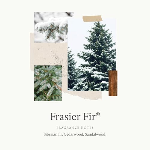 Thymes Frasier Fir Candles - Statement Collection - Silver with Pine Needle Design - Scented Candles for Home Decor - Notes of Siberian Fir Needles, Cedarwood & Sandalwood - Large 4 Wick (40 oz)