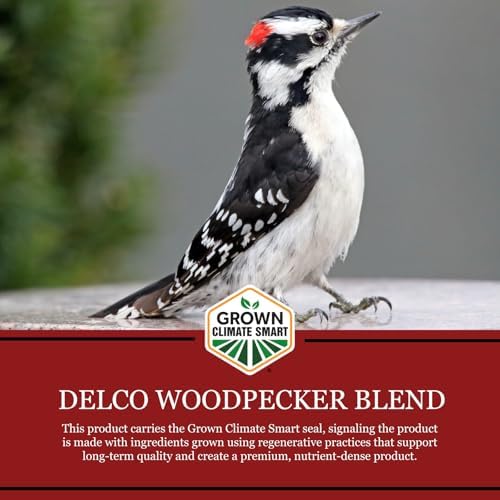 DeLco Woodpecker Wild Bird Seed, 20 lb Bag, High Energy Fruit & Nut with Sunflowers, Attracts Woodpeckers, Cardinals, Jays & Chickadees