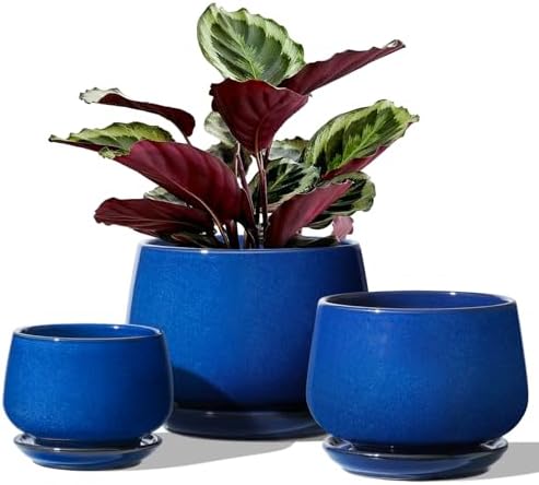 LE TAUCI Plant Pots, 4.1+5.1+6.5 inch, Set of 3, Ceramic Planters with Drainage Hole and Saucer, Indoor Flower Pot with Hole Mesh Pad, Gifts for Mom