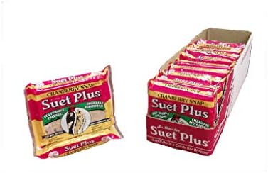 Suet Plus Zesty Orange Suet 12 Pack