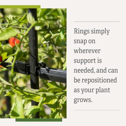 Gardener's Supply Company Titan Extra Tall Tomato Cages I Set of 3 - Sturdy Steel Core Plant Support Trellis for Vegetables & Climbing Plants