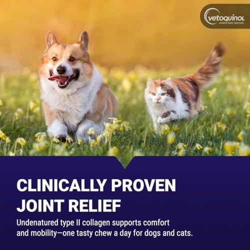 Vetoquinol Flexadin Advanced Hip and Joint Supplement with Undenatured Collagen for Dogs, One Chew a Day Hip and Joint Support Chew for Dogs and Cats, Clinically Proven Vet-Approved Formula, 60 Chews