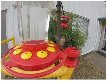First Nature 993091-546 16 oz. Hummingbird Flower Feeder , Red | Bright Flower Ports Attract Birds - Round Bottom Perch Fits Multiple Birds - See-Through Tank Shows Nectar Levels