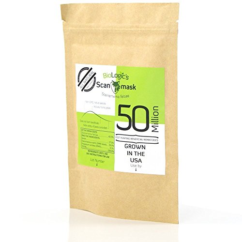 BioLogic's Scanmask Beneficial Nematodes, Steinernema feltiae Sf Nematodes for Natural Insect Pest Control (50 Million)