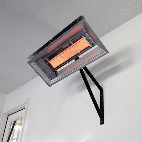 Mr. Heater F272100 MH25LP 22,000-BTU Propane Radiant Heater,Multi