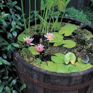 Reclaimed Used Wine Barrel Planter, Brown, Outdoor