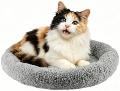 LESYPET Cat Bed for Indoor Cats, Soft Cat Cushion with Cat Pillow Around, Rectangle Kitten Pad Small Bed for Window Sill, 15'' x 10''
