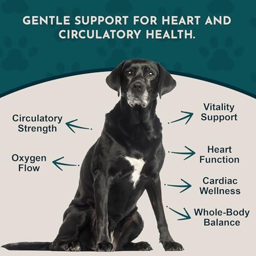 Heart Health for Dogs & Cats - Cardiovascular Support Supplement, Healthy Heart, Organic Hawthorn Berry, Herbal Tincture - 2 Fl Oz