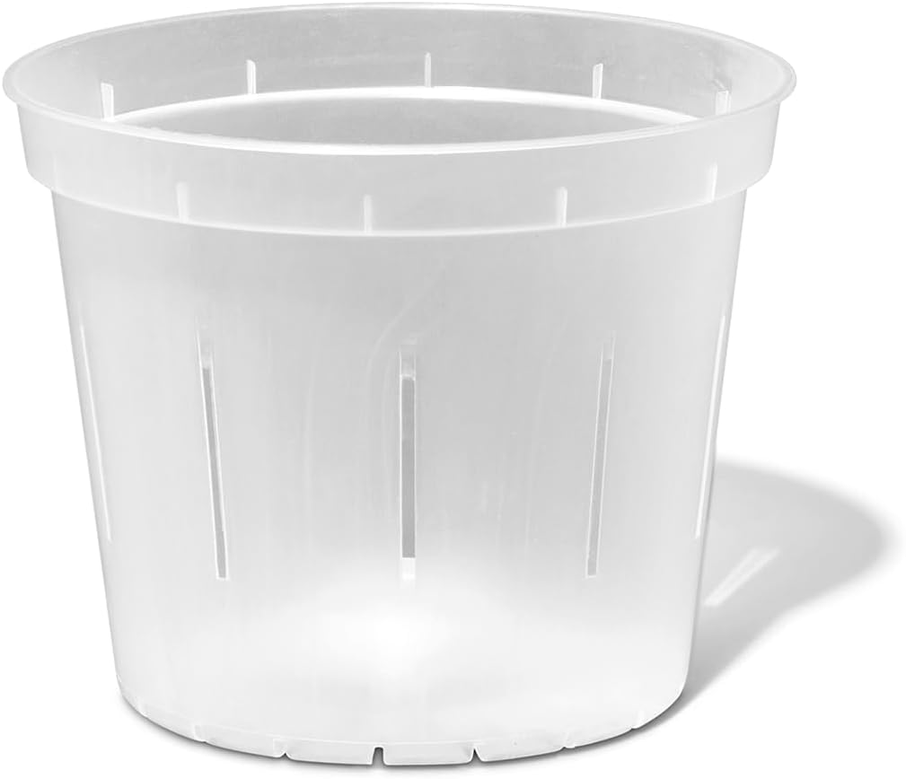 Orchid Pot - 6 inch Slotted Clear Orchid Pots - 3 Pack (Crystal Clear)