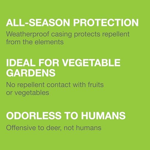 Safer Brand Deer-Off Repellent Stations, 6-Pack, Deer and Rabbit Repellent | 90-Day Coverage up to 192 Sq Ft, Animal Deterrent Stakes