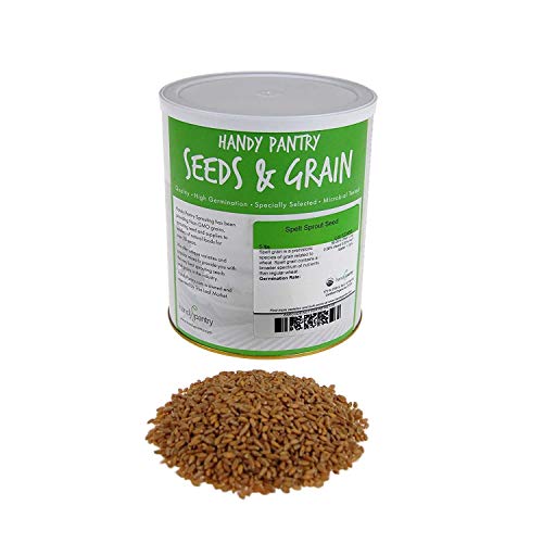 Handy Pantry Organic Spelt Seeds – Bulk Grain for Baking, Seed Rotation | Homesteading, Grinding – 30 lb Food-Grade Bucket – Non-GMO, Whole, Untreated