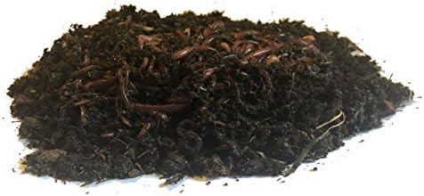 Nature's Little Recyclers 1,000+ Red Worms, Red Wigglers, Compost Earthworms, Organic, Sustainably Raised