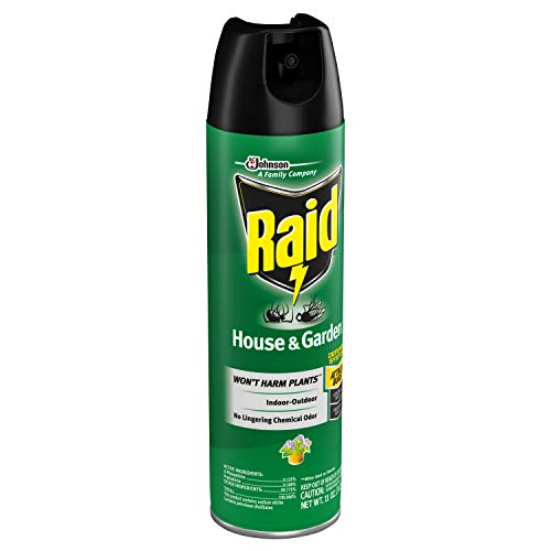 Raid House & Garden Bug Killer Aerosol Kills Bugs on Contact Won’t Harm Plants Indoor and Outdoor Use 11 Ounce (Pack of 1)