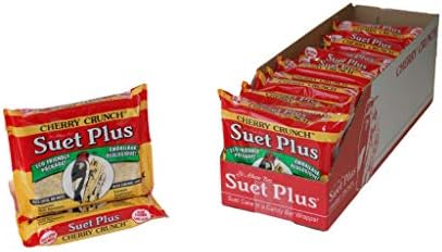 Suet Plus Zesty Orange Suet 12 Pack