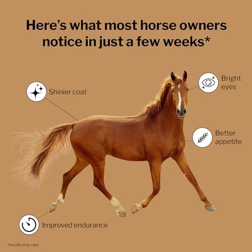 Daily Essentials Ration Balancer Supplement for Horses, 6 lb Bag – 48 Servings – Concentrated Complete Vitamin & Mineral Pellet