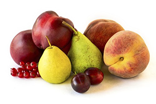 Seasonal Fruit Bundle, 4 Varieties