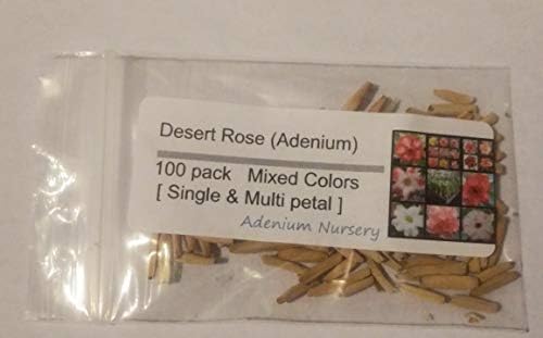Desert Rose Seeds Mixed Colors Adenium Obesum 100 Pack Single and Multi Colored Flowers