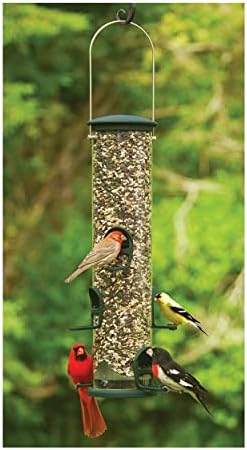 Aspects Quick-Clean Spruce Big Tube Feeder, 3.5qt Capacity - Large UV-Stabilized Feeder with 6 Feeding Stations for Backyard Birds