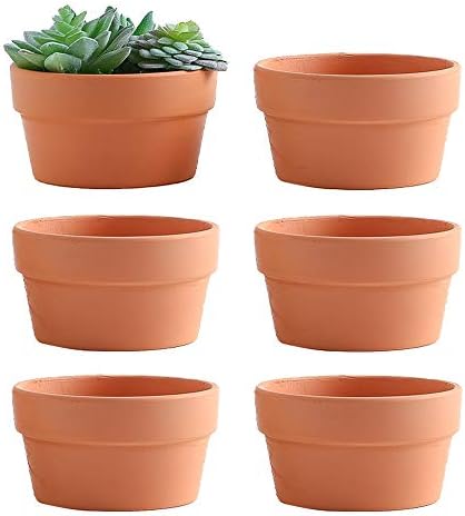 Yishang 6 Inch Terracotta Shallow Planters, Ceramic Flower Clay Plant Pots with Drainage Hole