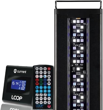 Current USA 24-36" Inch Orbit Marine LED Saltwater Reef Marine Aquarium Light | 24 Hour IR Lighting & eFlux Wave Pump Control | Adjustable Color Spectrum for Fish Tank (4101)