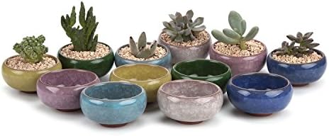 T4U 2.5 Inch Small Ceramic Succulent Planter Pot with Drainage Hole Set of 6, Ice Crack Glaze Plant Container for Cactus, Gardening Plant Gifts for Women Mom Aunt Home Office Decor | Cactus planters set, indoor herb garden, bonsai tree starter, tabletop…
