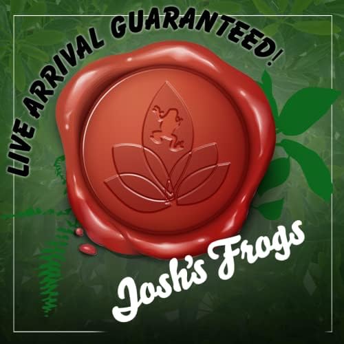 Josh's Frogs Nightcrawlers/Earthworms - 'Lumbricus terrestris' (16 oz)