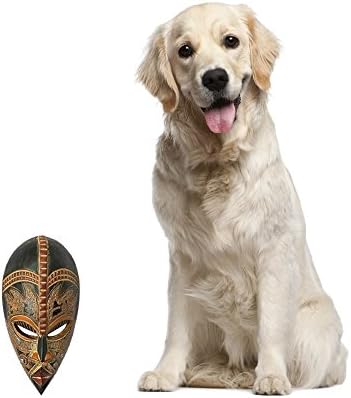 NOVICA Light Brown Handcrafted Nigerian Wood Wall Mask with Aluminum Accents, 'King's Companion'