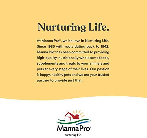 Manna Pro Layer Crumbles Chicken Feed, 16% Protein, Digestive Aid, 8 lb Bag | Complete Feed for Laying Hens, 16% Protein Formula, Added Probiotics, Supports Egg Production & Digestion